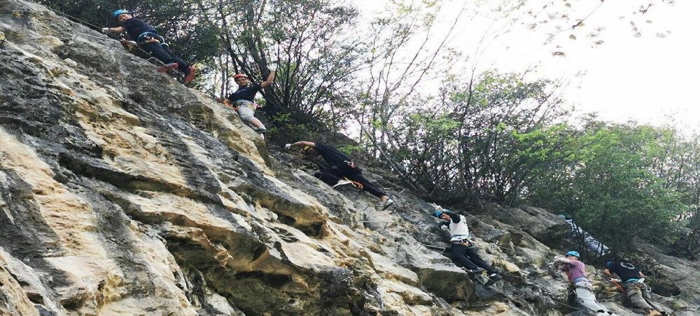 1681184768490018782.png 1681184768490018782.png