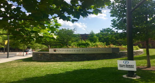 1551442832481001531.png blob.png