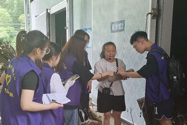 “三下乡”专栏（二） | 远辰志愿服务队活动纪实：落日归山海，烟火向新晨